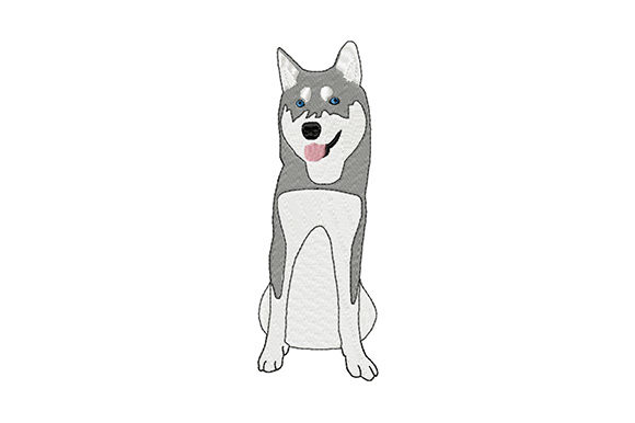 Cute Young Siberian Husky: A Designer’s Review